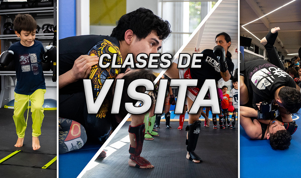 Clases de Visita