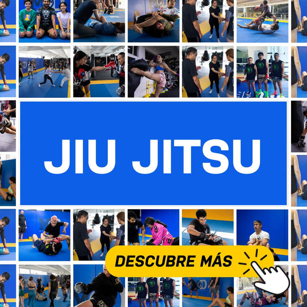 Jiu Jitsu Brasileño (BJJ) - Renzo Gracie Academy | MD del Valle