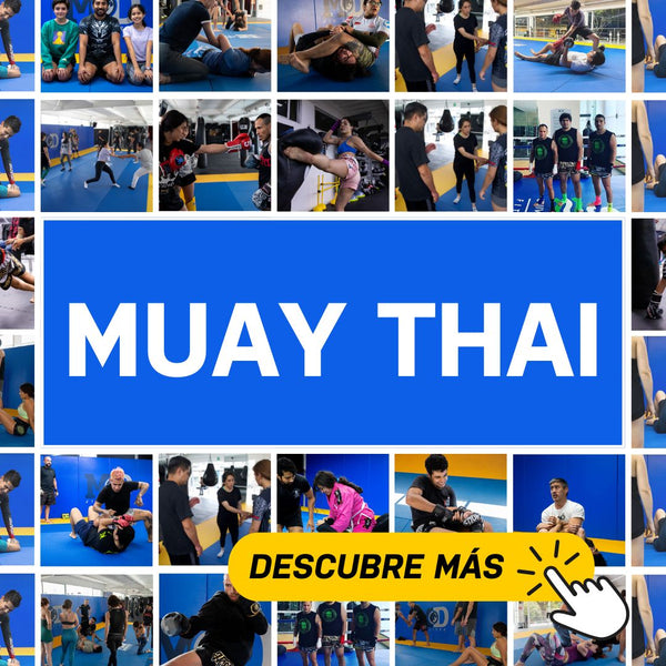 Muay Thai Kickboxing - Renzo Gracie Academy | MD del Valle