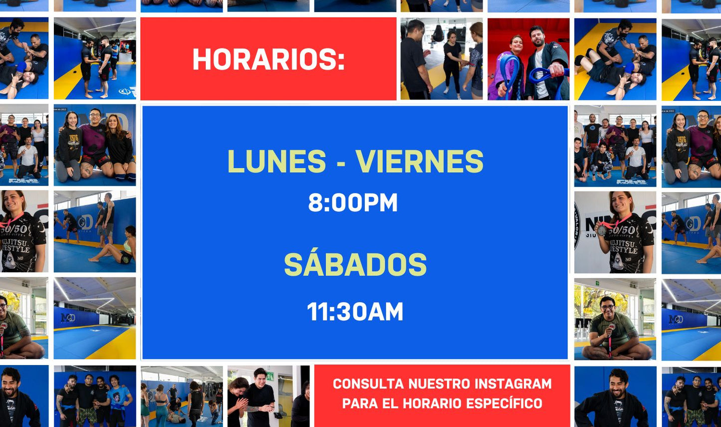 Lucha: Olímpica, Libre, Grecorromana (Adultos)