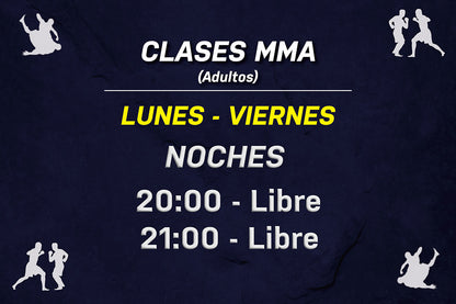 MMA: Artes Mariales Mixtas (Adultos)