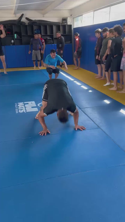 Lucha: Olímpica, Libre, Grecorromana (Adultos)